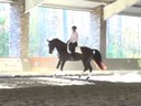 Walter Zettl<br>Day 1<br>
Assisting<br>
Peri Lambros<br>
Sonny<br>
Dutch Warmblood<br>
13 yrs. old<br>
Training: 3rd  Level<br>
Duration: 40 minuters

