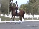 USDF<br>
West Coast Trainers Conference<br>
Stephen Clarke<br>
Assisting<br>
Amelia Newcomb<br>
Gatsby<br>
5 yrs. Old Gelding<br>
KWPN<br>
Duration: 31 minutes

