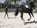 Arthur Kottas<br>
Assisting<br>
Gillian Wright<br>
Italo<br>
8 yrs. Old Gelding<br>
Bavarian Warmblood<br>
Training: 3rd Level<br>
Owner: Fritz Baehre<br>
Duration: 21 minutes
