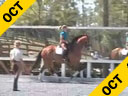 Betsy Steiner<br>Assisting<br>Jessie Steiner<br>Gootsie<br>11 yrs. old Mare<br>Training: 4th Level<br>Duration: 46 minutes