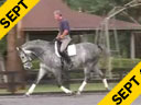 USDF APPROVED<br>
University Accreditation<br>Day 2<br>George Williams<br>
Riding & Lecturing<br>
Devon<br>
Westphalen<br>
6 yrs. old Gelding<br>
Training: 1st Level<br>
Duration: 38 minutes