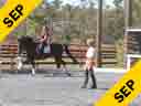 Betsy Steiner<br>Assisting<br>Tami Hoag<br>Riding Coco Channel<br>Rheinlander<br>11 yrs. old Mare<br>Training: Grand Prix<br>Duration: 37 minutes