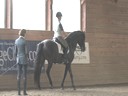 NEDA Spring Symposium<br>Day 3<br>
Bettina Drummond<br>
Assisting<br>
Regina Agren<br>
Saltando De Norte<br>
by: Lusitano<br>
9 yrs. old Stallion<br>
Duration:14 minutes