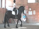 NEDA Spring Symposium<br>Day 3<br>
Bettina Drummond<br>
Assisting<br>
Leslie De Grandmaison<br>
Wiebren Fan Mirns<br>
Friesian<br>
11 yrs. old Fresian Gelding<br>
Training: 4th  Level<br>
Duration: 44 minutes