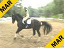 Mette Rosencrantz<br>
Lecturing<br>
Rockafeller<br>
Swedish Warmblood<br>
Owner: Mette Rosencrantz<br>
4 yrs. old Gelding<br>
Training: 3rd Level<br>
Duration: 43 minutes