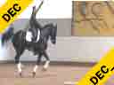 Ulla Salzgeber<br>
Assisting<br>
Frank Freund<br>
William Junior<br>
Hanoverian<br>
by:White Star<br>
8 yrs. old Gelding<br>
Training: PSG<br>
Duration: 25 minutes