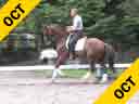 Shannon Dueck<br>
Riding & Lecturing<br>
Ledajah<br>
Oldenburg<br>
5 yrs. Old Mare<br>
Training: 1st Level<br>
Owner: Shannon Dueck<br>
Duration: 45 minutes

