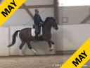 Ulla Salzgeber<br>
Assisting<br>
Frank Freund<br>
Champ<br>
Bavarian Warmblood<br>
6 yrs. old Gelding<br>
Training: 3rd Level<br>
Duration: 30 minutes
