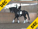 Daniel Ramseier<br>
Assisting<br>
Hayley Beresford<br>
Ferra<br>
Oldenburg<br>
by: Olympic Ferro<br>
12 yrs. old Mare<br>
Training: GP Level<br>
Owner: Daniel Ramseier<br>
Duration: 32 minutes
