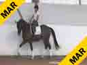 Ulla Salzgeber<br>
Assisting<br>
Maria Torres<br>
Dimanche<br>
Bavarian<br>
by:Davinion/Donnerhall<br>
5 yrs. Gelding<br>
Training: 2nd Level<br>
Duration: 29 minutes
