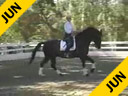 Mette Rosencrantz<br>Riding & Lecturing<br>Taison<br>KWPN Gelding<br>Owner: Mette Rosencrantz<br>7 yrs. old <br>Training: 4th Level<br>Duration: 34 minutes