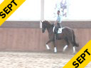 Rudolf Zeilinger<br>
Assisting<br>
Daniel Bachmann<br>
Ryback<br>
Oldenburg<br>
by:Royal Hit<br>
4 yrs. old Gelding<br>
Training:Training Level<br>
Duration: 27 minutes