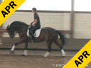 Leonie Bramall<br>
Assisting<br>
Martin Swoboda<br>
Princess<br>
Trakhner<br>
8 yrs. old Mare<br>
Training: 2nd Level<br>
Duration: 33 minutes
