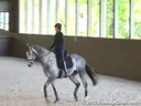 Day 2<br>
Betsy Steiner<br>
Assisting<br>
Meghan Adams<br>
Donovan<br>
Irish Sport Horse<br>
18 yrs. Old<br>
Training: 3rd Level<br>
Duration: 24 minutes

