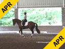 Anne Gribbons<br>
Assisting<br>
Pam Hara<br>
Kir Royale<br>
5 yrs old  Gelding<br>
Oldenburg<br>
Training: 1st/2nd Level<br>
Duration: 34 minutes
