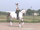 USDF Trainers Conference<br>
Lilo Fore &<br>
Christian Matthiesen<br>
Assisting<br>
Nora Batchelder<br>
Fifi MLW<br>
Hanoverian<br>
7 yrs. Old Mare<br>
by: Fidertanz<br>
Training: FEI Level<br>
Duration: 23 minutes


