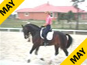 Hubertus Schmidt<br>
Assisting<br>
Shannon Dueck<br>
Rendez-Vous<br>
Quarter Arabian<br> 
12 yrs. old<br> 
Training:  GP<br>
Duration: 44 minutes