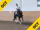 Udo Lange<br>
"Work in Hand"<br>
Dream<br>
Oldenburg<br>
by: De Nero<br>
14 yrs. Old Gelding<br>
Training: GP<br>
Duration: 12 minutes
