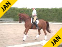Available on DVD No. 21<br>Hubertus Schmidt<br>
Riding & Lecturing<br>
Valentino<br>
Hanovarian<br>
12 yrs. old Gelding<br>
Owned By:<br>
Katherine Von Ertfelda<br>
Training: GP Level<br>
Duration: 48 minutes
