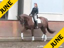 Penny Rockx<br>Assisting<br>Shani Pitcho<br>Zorette<br>KWPN<br>4 yrs. old Mare<br>Owned by:<br>Penny and Johann Rockx<br>Training: Training LevelEssen Belgium<br>Duration:30 minutes