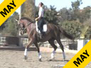 Shannon Peters<br>Riding & Lecturing<br> Flor De Selva<br> Owner: Laurie Browning<br>&<br> Shannon Peters<br> Westfalen Gelding<br> 8 yrs. old<br> Training: Prix St. George<br> Duration: 30 minutes