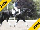 Jan Ebeling<br>Assisting<br>Heather Hopfensperger<br>History<br>4 yrs. old Hanovarian<br>by:Your Highness<br>Training: Training Level<br>Duration: 27 minutes