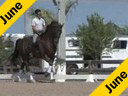Kathy Connelly<br>
Assisting<br>
Ryan Yap<br>
Lightning<br>
14 yrs. old Hanoverian<br>
Training: Intermediaire 1
Owner: Renee Isler<br>Duration: 31 minutes
