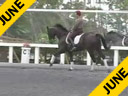 Betsy Steiner<br>Assisting<br>Tami Hoag<br>Coco Channel<br>Rheinlander Gelding<br>13 yrs. old<br>Training: Grand Prix<br> Duration: 36 minutes