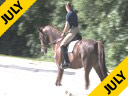 Ellen Bontje<br>
Riding & Lecturing<br>
Wensch DeJeu<br>
KWPN<br>7 yrs old Mare<br>
by:Jazzz<br>
Owner: DeJeu Dressage<br>
Duration: 29 minutes