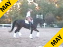 Available on DVD No.4<br>Jan Ebeling<br>
Riding & Lecturing<br>
Feliciano<br>
9 yrs. old Stallion<br>
Training: GP Level<br>
Duration: 45 minutes