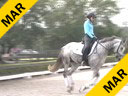 Betsy Steiner<br>
Assisting<br>
Tacie Saltonstall<br>
Mit<br>
10 yrs. old Danish Warmblood<br>
Training: PSG<br>
Duration: 39 minutes
