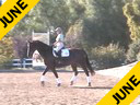 Jan Ebeling<br>
Assisting<br>
Dantia Benson<br>
Ollie<br>
KWPN<br>
8 yrs. old<br>
Training: 2nd Level<br>
Duration :45 minutes