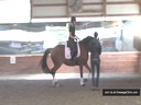 Day 1<br>
Ulla Salzgeber<br>
Assisting<br>
Rochelle Kilberg<br>
Samba Hit V<br>
7 yrs. Old  Brandenburg Stallion<br>
by:  Sandro Hit<br>
Training: PSG   Level <br>
Owner:  Ben & Leidy Vermeulen<br>
Duration: 38 minutes

