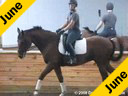 Lendon Gray<br>Assisting<br>Alison Cavey<br>Renaldo<br>8 yrs.old Danish Gelding<br>Owner: AndreaWoodner<br>Training: 1st Level<br>Duration:40 minutes