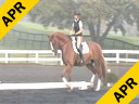 Lendon Gray<br>
Assisting<br>
Mica Mabragana<br>
NexL<br>
Owner:Sam Grumkorn<br>
12 yrs. old Gelding<br>
Training: I-1<br>
Duration: 34 minutes