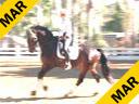 Mette Rosencrantz<br>
Riding & Lecturing<br>
Donnatello<br>
by:Don Schufro<br>
Swedish Warmblood<br>
Owner: Mette Rosencrantz<br>
5 yrs. old FEI<br>
Training: Training Level<br>
Duration: 38 minutes