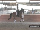 Day 3<br>
Ulla Salzgeber<br>
Assisting<br>
Lauren Wright<br>
Donna Tella<br>
9 yrs. Old Chestnut Mare<br>
Training: 2nd Level<br>
Duration: 27 minutes
