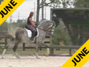 USDF APPROVED<br>University Accreditation<br>George Williams<br>Assisting<br>Jessie Ely<br>Devon<br>Westfalen Gelding<br>6 yrs. old<br>Training: 3rd/4th Level<br>Duration: 46 minutes