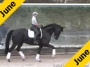 Betsy Steiner<br>Riding & Lecturing<br>Titan<br>9 yrs. old KWPN Gelding<br>by: Metal<br>Owned by<br> University of Findley<br>Training:Developing Horse/Prix St. George<br>Duration: 37 minutes