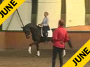 Penny Rockx<br>Assisting<br>Karin Nyvelt<br>Mabruk<br>KWPN<br>11 yrs. old Gelding<br>Training: Grand Prix<br>Duration: 54 minutes