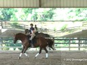 Day 2<br>
Felicitas Von Neumann<br>
Assisting<br>
Dana Ferguson<br>
Divinity<br>
10 yrs. Old Hanoverian/QH Cross<br>
Training: 1st Level<br>
Duration: 29 minutes
