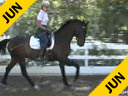 Mette Rosencrantz<br>Riding & Lecturing<br>Da Bu<br>Hanoverian Gelding<br>5 yrs. old<br>Training Level<br>Duration: 35 minutes