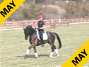 Available on DVD No.3<br>Guender Seidel<br>
Lecturing<br>
Metropolitan<br>
KWPN<br>
10yrs. old Gelding<br>
Training: I-2/GP<br>
Duration:40 minutes