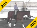 Volker Brommann<br>
Riding & Lecturing<br>
Optimist<br>
8 yrs. old Gelding<br>
Training: 3rd Level<br>
Duration: 34 minutes