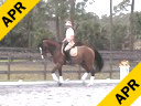 Betsy Steiner<br>
Assisting<br>
Wendy Smith<br>
Nurito<br>
KWPN<br>
10 yrs. old<br>
Training:PSG Level<br>
Duration: 37 minutes