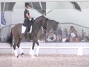 USDF Trainers Conference<br>
Lilo Fore &<br>
Christian Matthiesen<br>
Assisting<br>
Nora Batchelder<br>
Fifi MLW<br>
Hanoverian<br>
7 yrs. Old Mare<br>
by: Fidertanz<br>
Training: FEI Level<br>
Duration: 33 minutes


