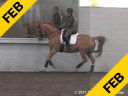 Day 1<br>Jan Brink<br>
Assisting<br>
Cathlyn Cushman<br>
Caruso<br>
Hanoverian<br>
by: Contucci<br>
12 yrs. old Gelding<br>
Training: PSG/I1<br>
Owner: Lynda Cushman<br>
Duration: 43 minutes
