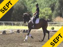 Andreas Hausberger<br>
Assisting<br>
Paula Langan<br>
Monte<br>
15 yrs. old Gelding<br>
Training: GP<br>
Duration: 26 minutes


