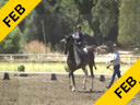 Andreas Hausberger<br>
Assisting<br>
Roberta Pollock<br>
Orion<br>
15 yrs. old Gelding<br>
Training: 3rd/4th Level<br>
Duration: 27 minutes