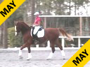 Betsy Steiner<br>
Riding & Lecturing<br>
Diamore<br>
Danish Warmblood<br>
9 yrs. old<br> 
Training: PSG 1-1 Level<br>
Duration: 32 minutes